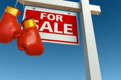 for sale boxing.jpg